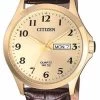 Citizen Men's Gold Stainless-Steel Brown Leather Watch Model BF5002-05P