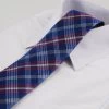 Mens Blue, Dark Pink & White Plaid Patterned 8Cm Neck Tie