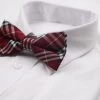 Mens Red Plaid Patterned Bow Tie