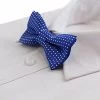 Boys Blue Bow Tie With White Polka Dots
