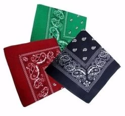 10 X Paisley Bandana 100% Cotton Head Neck Scarf Assorted Colours -Fashion Menswear Shop 62616226ffe1e808ec0feea0b84c6ab4