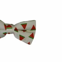 Mens Watermelon Fruit Patterned Bow Tie -Fashion Menswear Shop 6e5a59169ef46dabe257cfc6d0dd377e