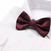 Mens Plum Plain Coloured Checkered Bow Tie