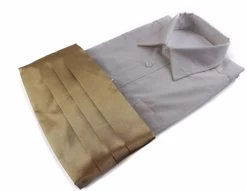 Mens Gold Adjustable Cummerbund