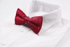 Mens Red With Silver Patterned Bow Tie -Fashion Menswear Shop b425a6837af157e7281f0168b513d10e