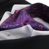 Mens Purple, Navy & Black Paisley Cravat
