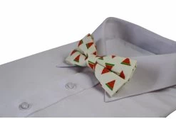 Mens Watermelon Fruit Patterned Bow Tie