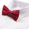 Mens Red With Silver Patterned Bow Tie
